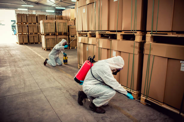 Best Pest Control for Homes  in Womelsdorf, PA