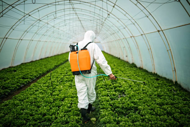 Reliable Womelsdorf, PA Pest Control Solutions