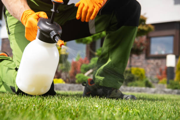 Best Local Pest Control Services  in Womelsdorf, PA