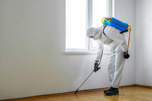 Best Termite Control Services  in Womelsdorf, PA