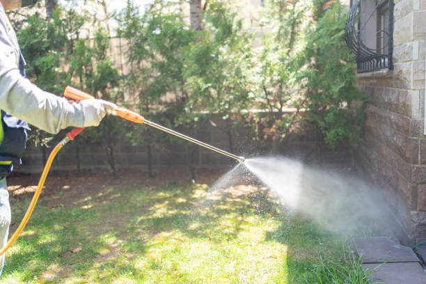 Best Pest Control Near Me in Womelsdorf, PA
