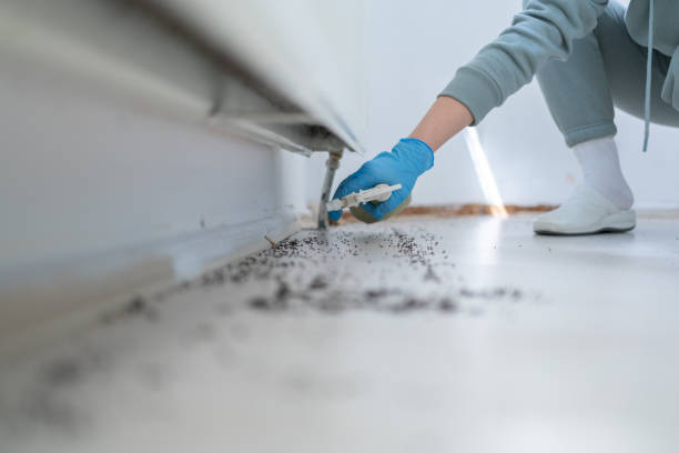 Best Insect Control  in Womelsdorf, PA